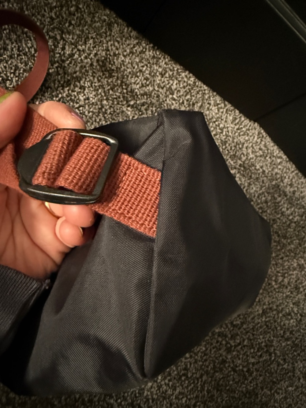 Longchamp Le Pliage Backpack - Picture 3 of 8